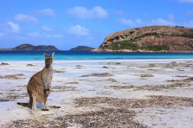 新建位图图像 (5).jpg
