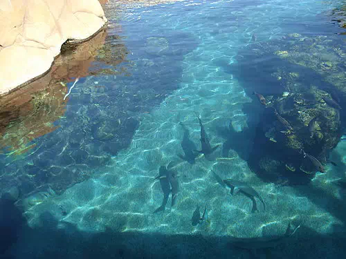 新建位图图像 (7).jpg