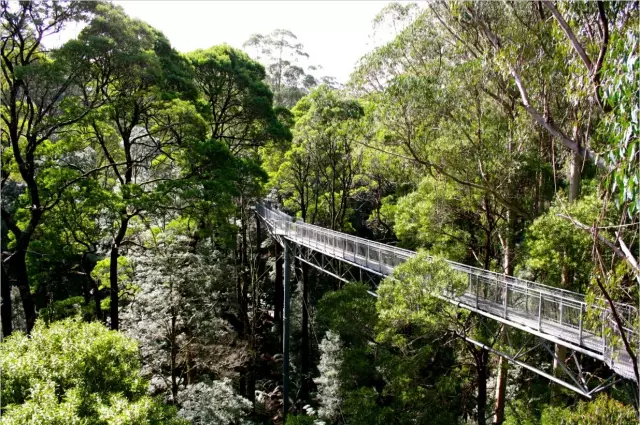 新建位图图像 (19).jpg