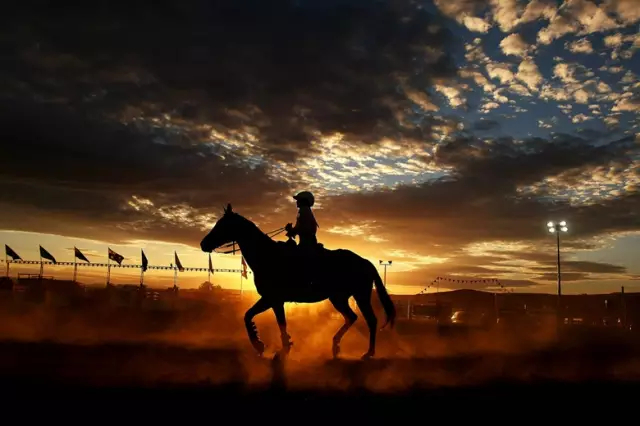 新建位图图像 (27).jpg