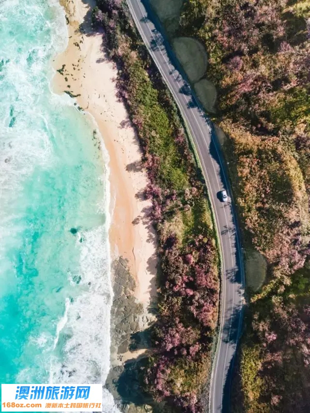 澳大利亚上帝视角5.jpg