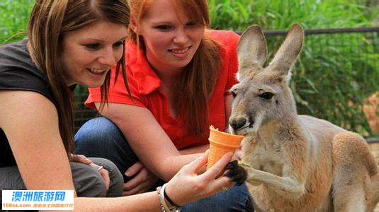 悉尼野生动物世界