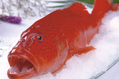 澳大利亚旅游,凯恩斯旅游