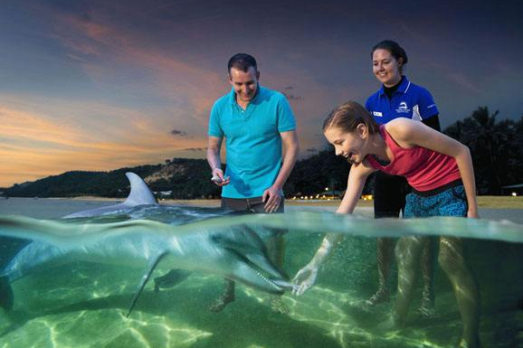 布里斯班自助游