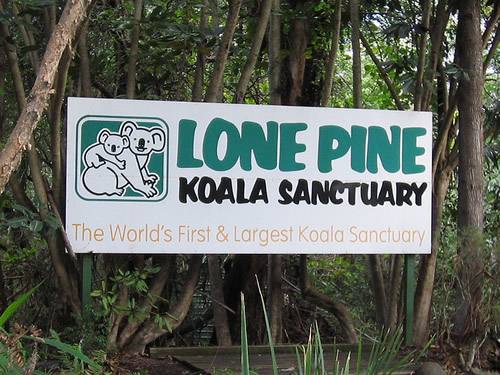 布里斯班自助游