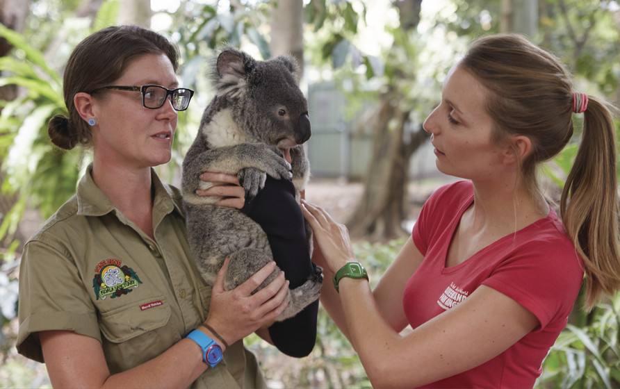 布里斯班自助游