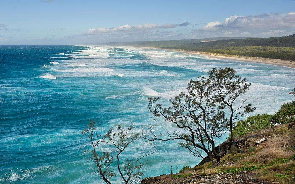 布里斯班自助游