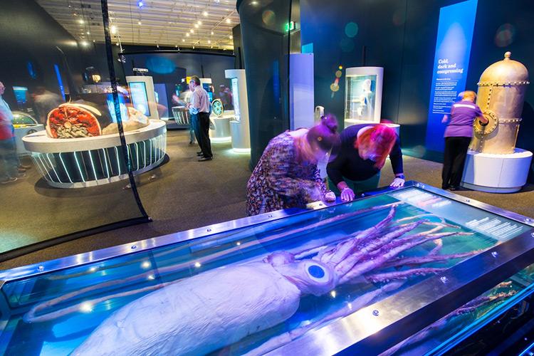 布里斯班自助游