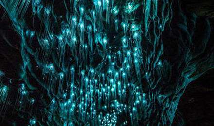 布里斯班自助游