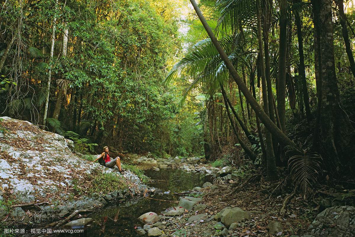 布里斯班自助游