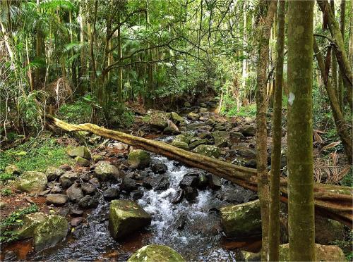 布里斯班自助游