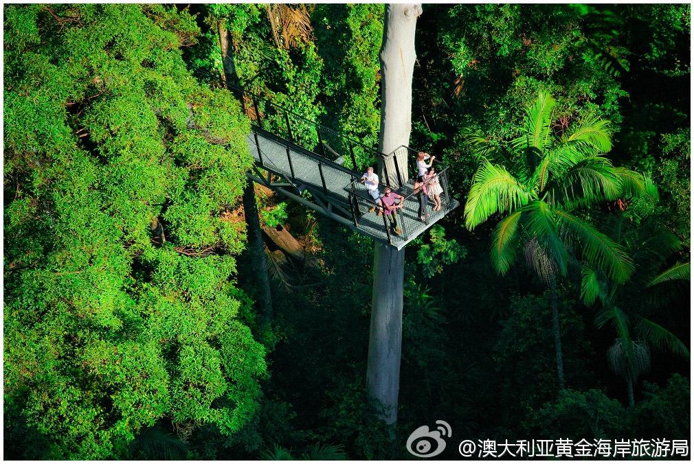 布里斯班自助游