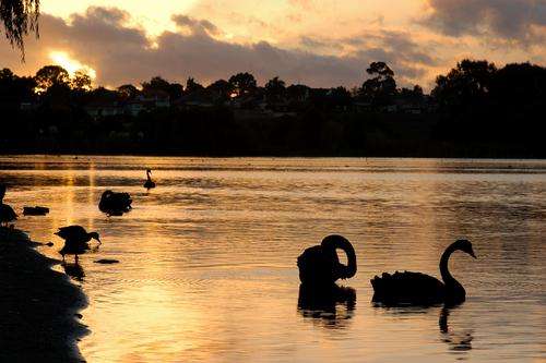 澳大利亚旅游攻略