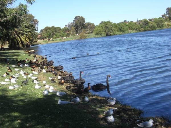 澳大利亚旅游攻略