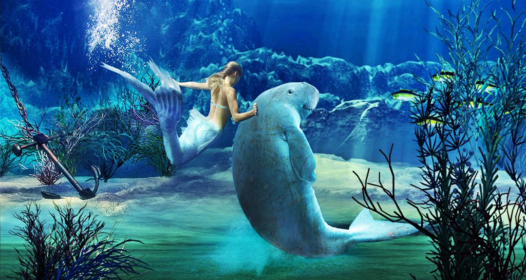 澳大利亚旅游攻略