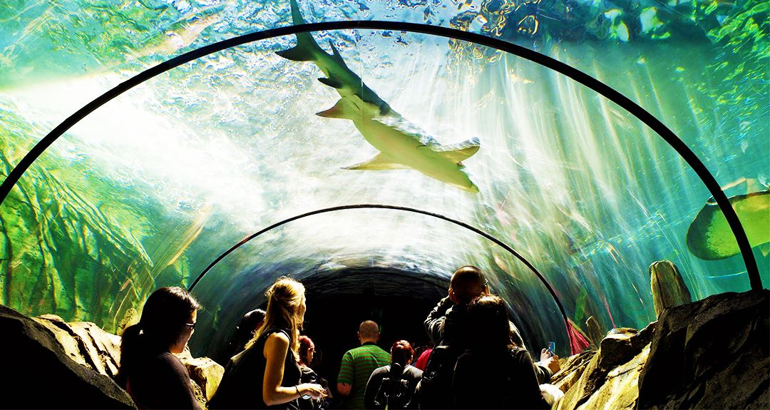 澳大利亚旅游攻略