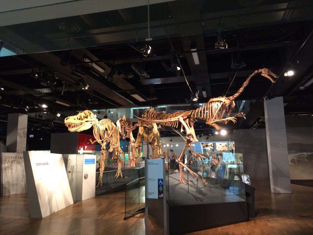 澳大利亚旅游攻略