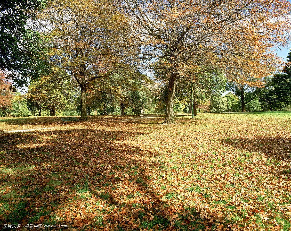澳大利亚旅游攻略