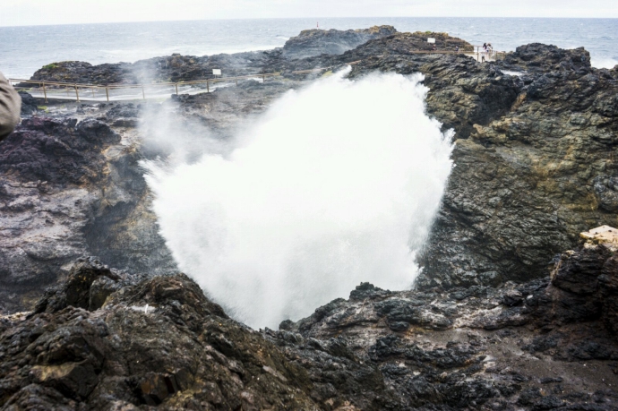 澳大利亚悉尼2日游·歌剧院+大教堂+海湾+游船+卧龙岗+蓝色海洋路+喷水洞+杰维斯海豚游船