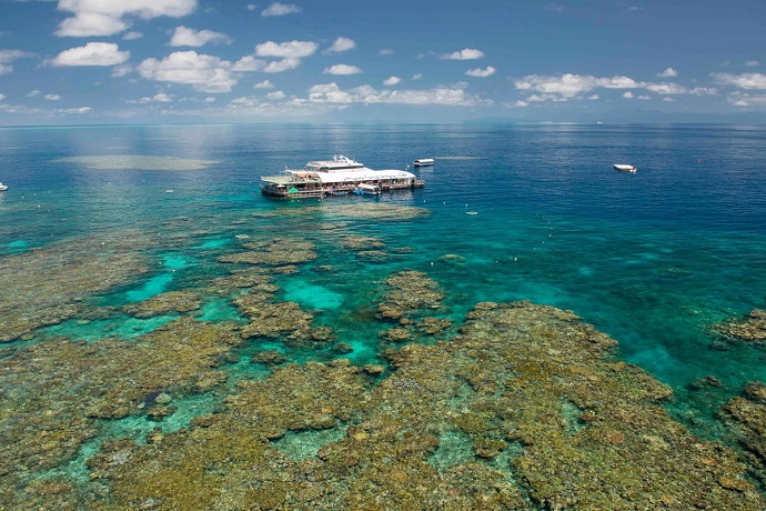 这艘由澳大利亚拥有的梦幻丽礁号快速双体船确保旅行所用时间减少，外堡礁游览的实际时间为： 整整五个小时的时间，都可用来让你探索大堡礁神秘世界