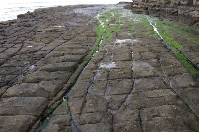 棋盘石是一种自然现象，是在因地壳受压水成岩断裂时形成的罕见侵蚀地貌。随着低潮时水成岩脱水干涸，表面便形成盐晶。在盐晶影响下，地面出现了一条条接缝，也就是现在我们所看到的长方形块状地貌。来到塔斯马尼亚的游客，都会来到这里观赏神奇的棋盘道，站在棋盘道上观赏浩瀚的大海风光。