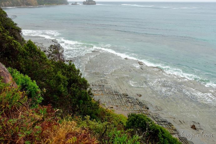 精选-塔斯马尼亚3日游-凯特果园,酒杯湾,豆蔻湾,登山步道+费尔德山国家公园,温带雨林,罗斯瀑布,马蹄瀑布,皇家植物园+布鲁妮岛上环游,企鹅归巢,生蚝海鲜农场行