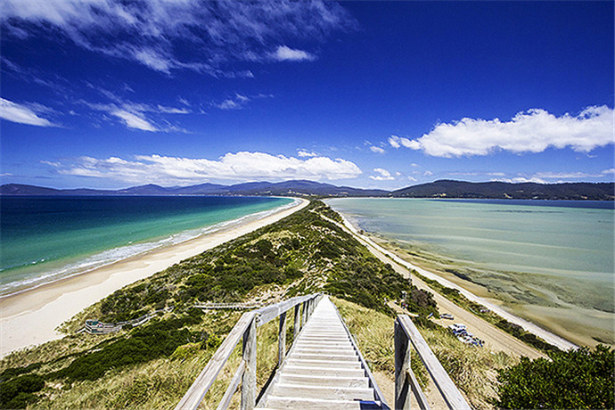 造访地势险峻的布鲁尼岛（Bruny Island），参加惊险刺激的崖顶徒步、观赏多样的野生动物和品味历史余香。