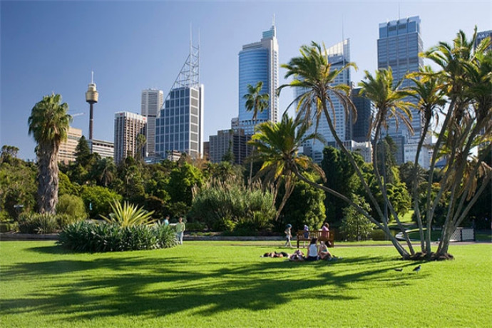 悉尼皇家植物园，位于澳大利亚新南威尔士州，其西北端即悉尼歌剧院。 悉尼皇家植物园是悉尼的一个大型的植物公园，由禁苑基金会管理，全年开放，免费入场。