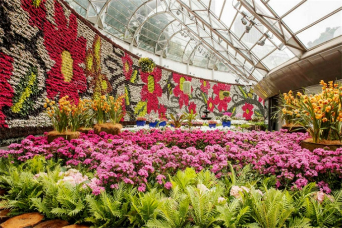 悉尼皇家植物园，原是澳洲的第一个农场，紧邻悉尼歌剧院和中心商务区。于1816年在当时总督主持下建立，由于当地适宜的气候条件非常有利于植物园的植物收集，故园内收集展示了大量热带和亚热带植物7000多种.