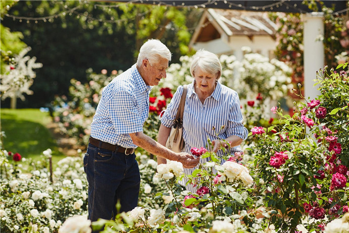 在比尔和伊梅尔达·罗氏（Bill and Imelda Roche）四年建立的猎人谷花园（Hunter Valley Gardens）中，以最令人惊叹的自然风光，由40多位景观园丁，建筑师和工程师组成的专门团队。
