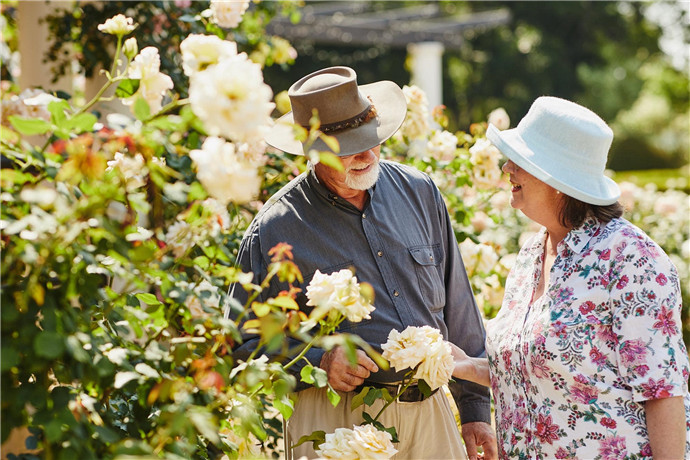 澳大利亚悉尼3日周边游·悉尼歌剧院+海港大桥+晚餐游船+猎人谷酒庄(热气球可选）酒庄+奶酪工厂+猎人谷花园+塘鹅喂食秀