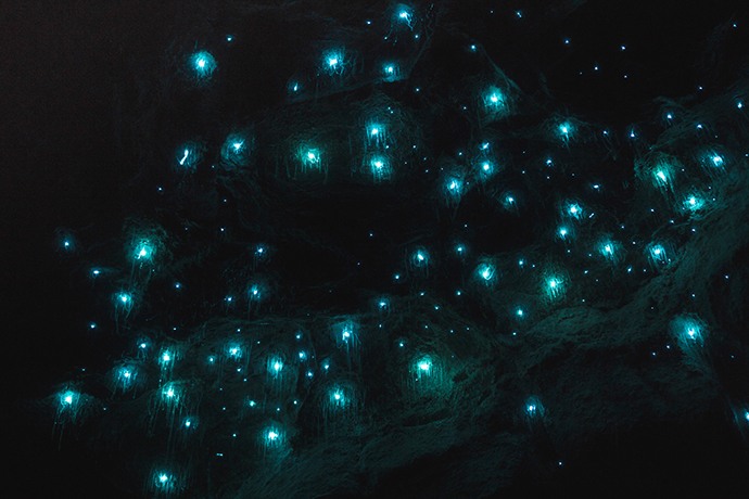 澳大利亚黄金海岸+阿德莱德6日5晚深度游·主题公园+克伦斌动物园+萤火虫夜游+汉道夫德国村 【中文司机兼导游】