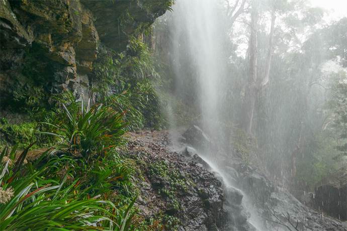 黄金海岸春溪国家公园瀑布奇景