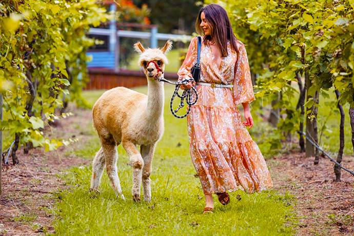 黄金海岸旅游5日休闲之旅-库伦宾野生动物园,水果世界2选一,危险角-皇冠旋转海鲜餐自助+鹰高小镇,蓝光虫洞,羊驼农场,自然桥景区.水陆鸭子船+Q1观光塔+拜伦湾+水晶城堡-含门票及海鲜自助餐费