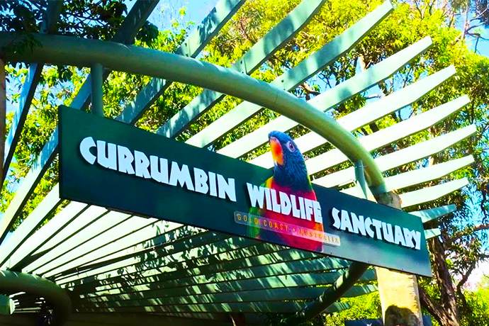 克伦斌保护区占地27公顷，内有超过1400种动物和鸟类，整个园区都被指定为国家文化遗产。