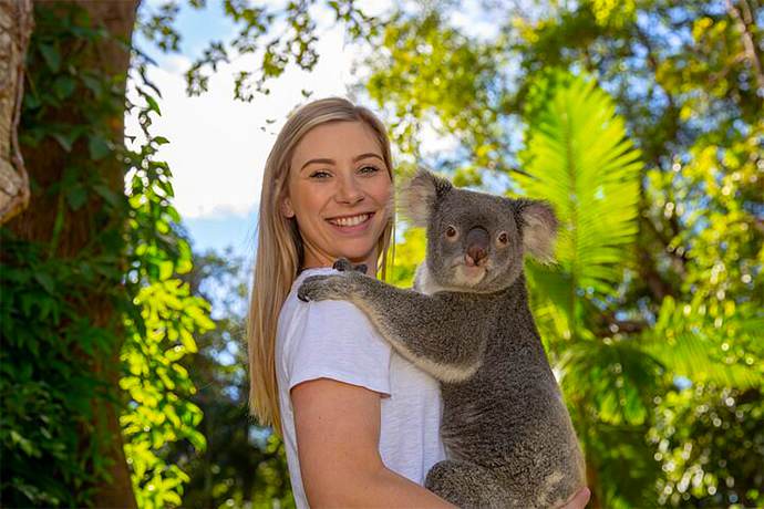 在这里你可以观看澳大利亚野狗表演、毒蛇大汇演、超级大鳄鱼秀等，也可以喂袋鼠，抱考拉照相。这里的树袋熊比较多，在这里抱树袋熊照相比Dream world要便宜一些。