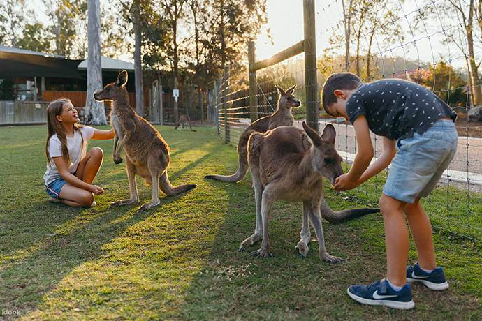 澳大利亚悉尼+阿德雷德+墨尔本+凯恩斯+黄金海岸+布里斯班10日畅游·天堂农庄+大堡礁+悉尼歌剧院+企鹅岛+袋鼠岛