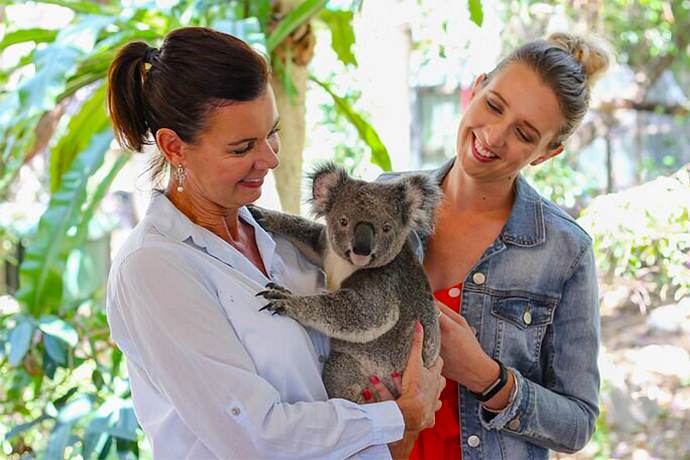 布里斯班龙柏考拉园抱考拉拍照