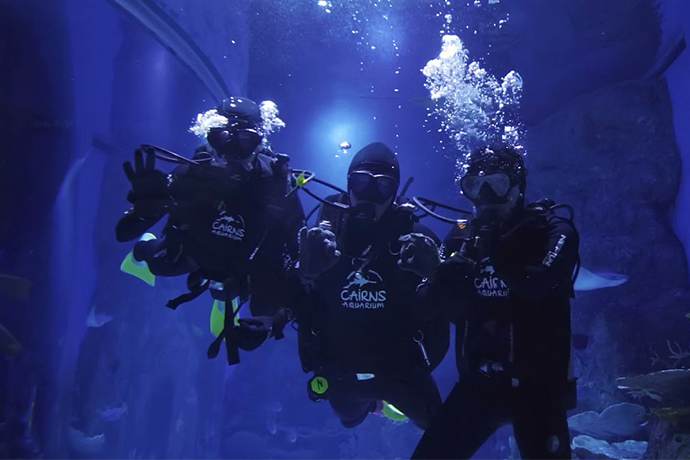 凯恩斯水族馆水肺潜水