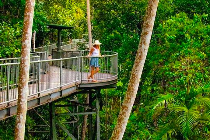 凯恩斯玛姆步道栈道眺望