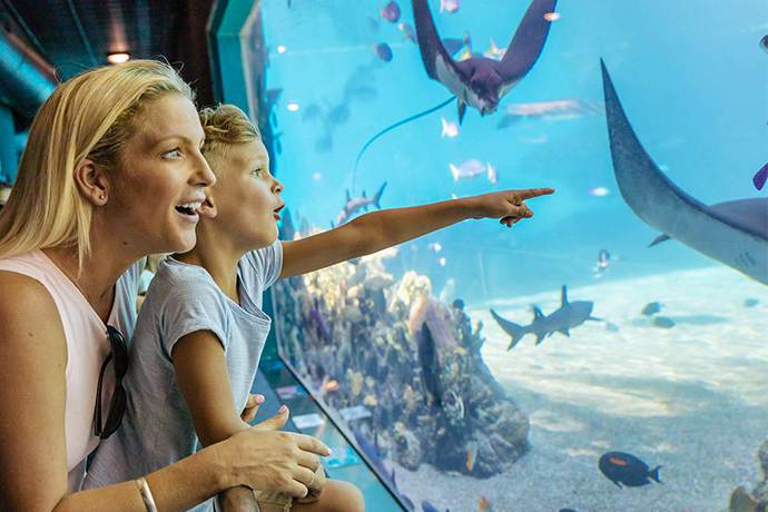 澳大利亚悉尼+霍巴特+布里斯班+黄金海岸包10日精品游-电影世界+独家夜游萤火虫+酒杯湾+蓝山公园+Q1观光塔+水路鸭子船+萤火虫夜游