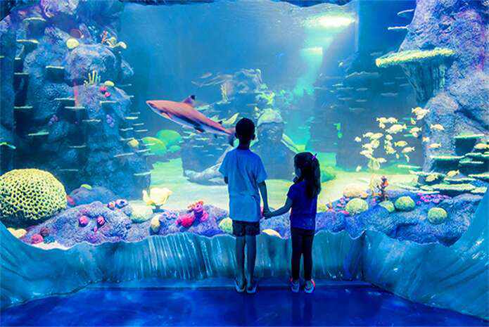 悉尼市区室内水族馆观景平台