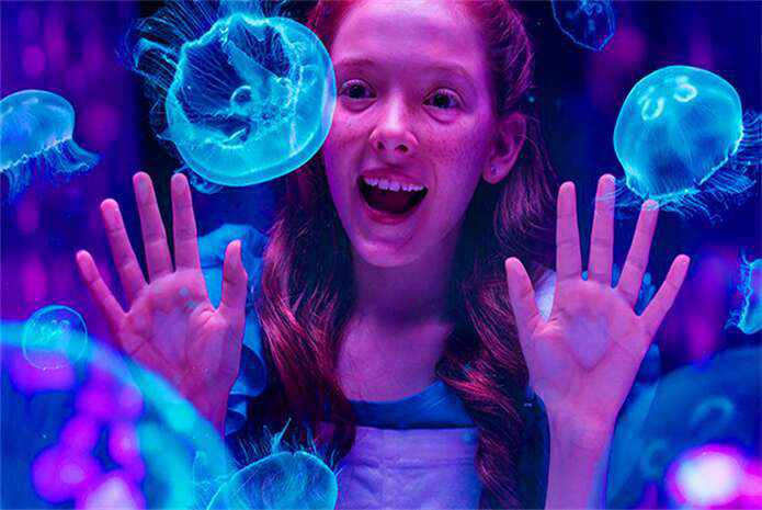 悉尼水族馆里漂亮的浮游水母