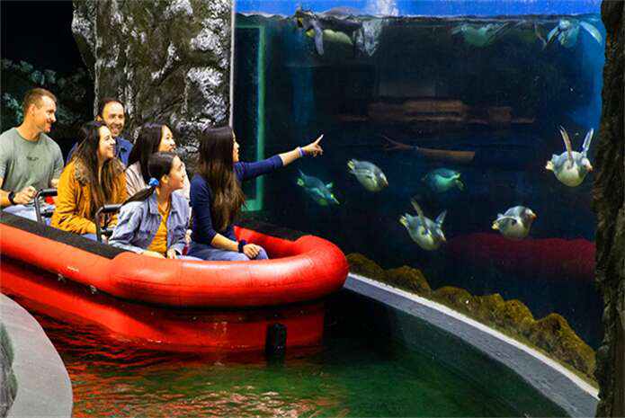 悉尼情人港水族馆里儿童乐园