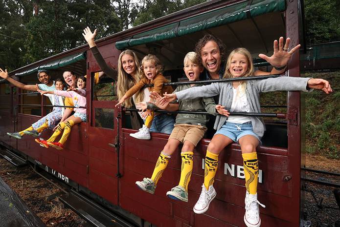 墨尔本一日游-古老蒸汽小火车.无尾熊动物园,诺比斯岩石,神仙企鹅归巢-11小时