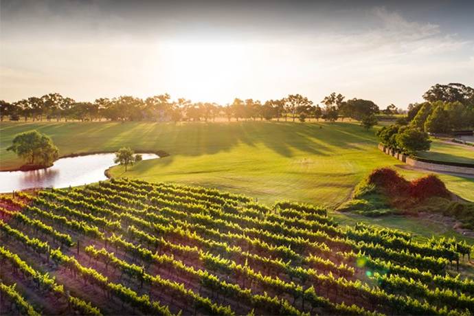 澳大利亚珀斯5日游【全景之旅】•朗塞林白沙丘+龙虾屋+海岸悬崖+卡尔巴里+世界自然之窗-粉紅湖+格林诺+怪树+尖峰石阵+约克镇+波浪岩+河马哈欠石+原住民文化区洞穴+天鹅钟塔+国王公园+弗里曼特尔小镇