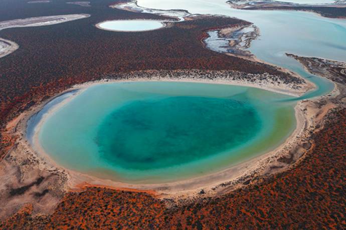 澳大利亚西澳珀斯4日游[粉红仙境】·弗里曼特尔+游轮观光+天鹅钟塔+西澳大学+科特索海滩+朗塞林白沙丘+龙虾工厂+杰拉尔顿+粉红湖+世界自然之窗+天空漫步+卡尔巴里+海边悬崖+朱莉恩湾+沉船纪念馆+尖峰石阵