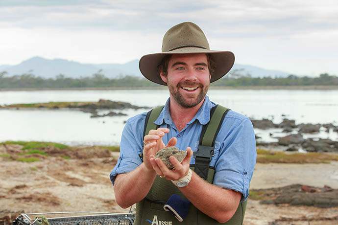 塔斯马尼亚布鲁尼岛一日-岛上环游,企鹅归巢,生蚝海鲜农场行，程约9小时