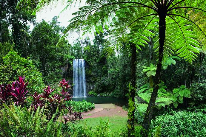 凯恩斯米拉米拉瀑布全景