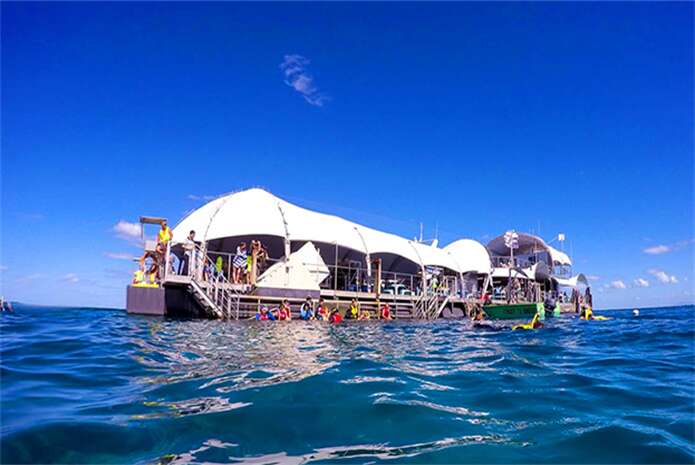 澳大利亚凯恩斯2日游-*热带雨林观景缆车单程+土著文化表演+水陆两用战车+阿森顿高原+天空之城+帕罗尼拉公园+云嘠布拉镇+无花果树妖+百利湖